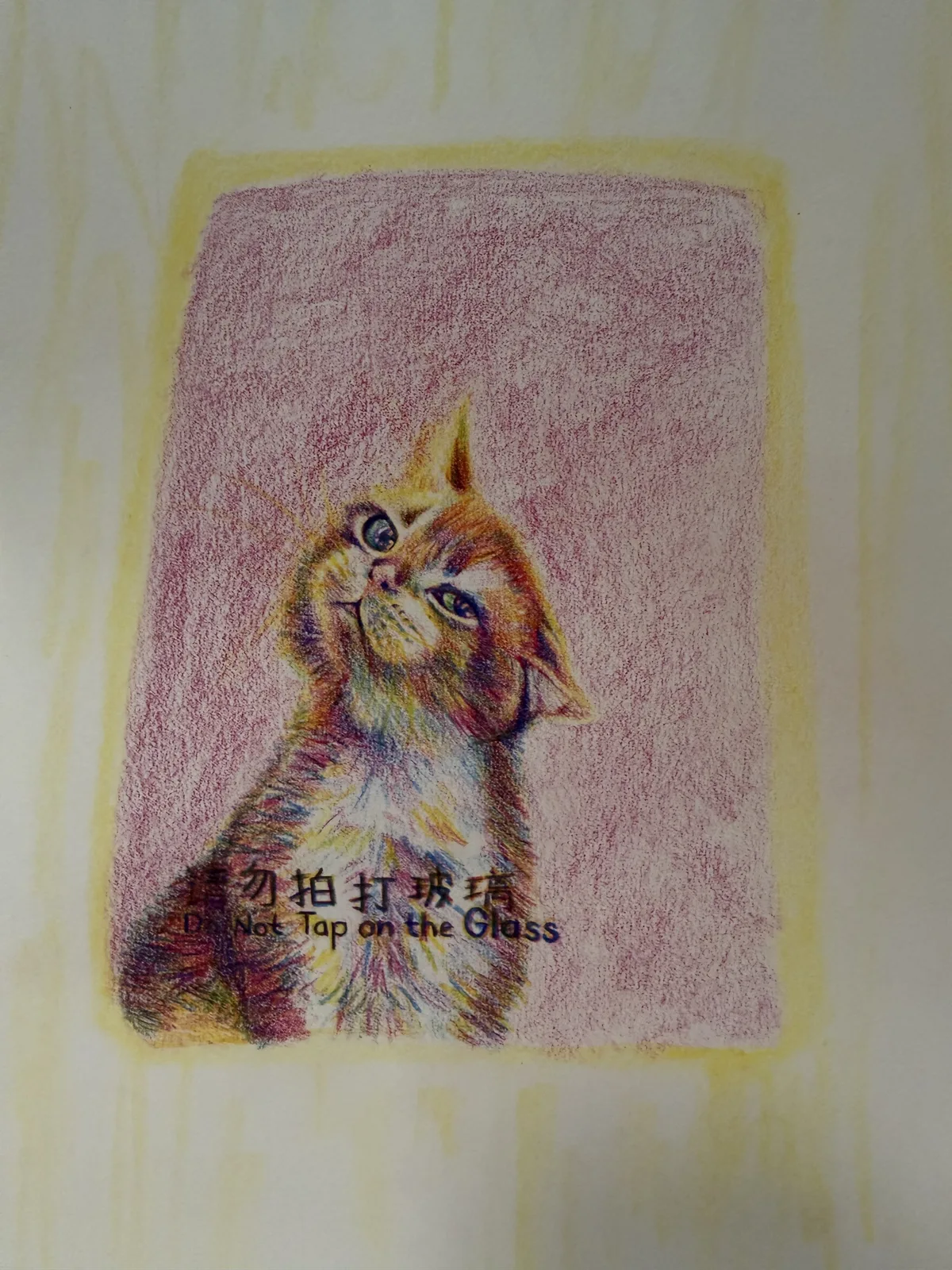 Cat in MCY