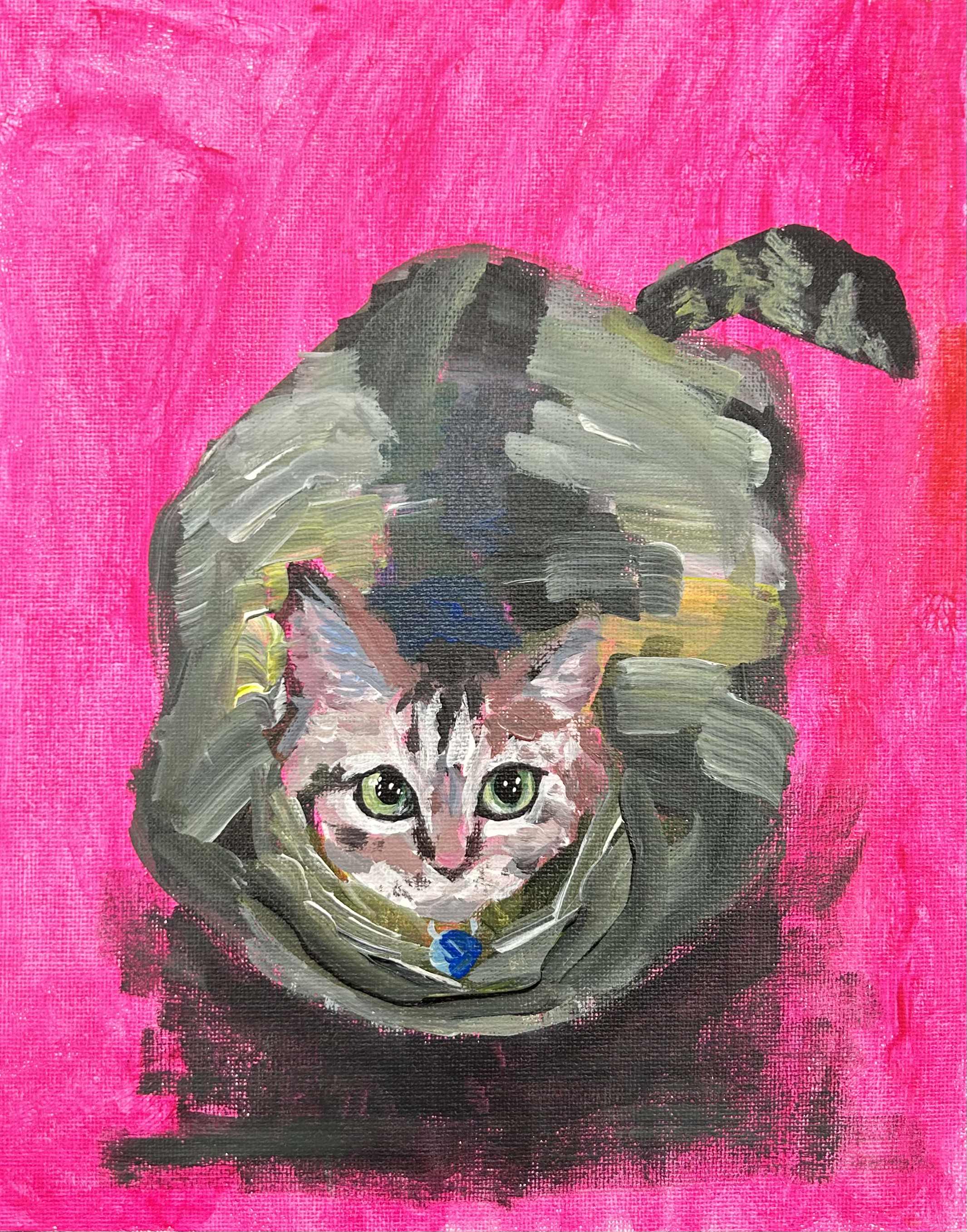 Cat #5