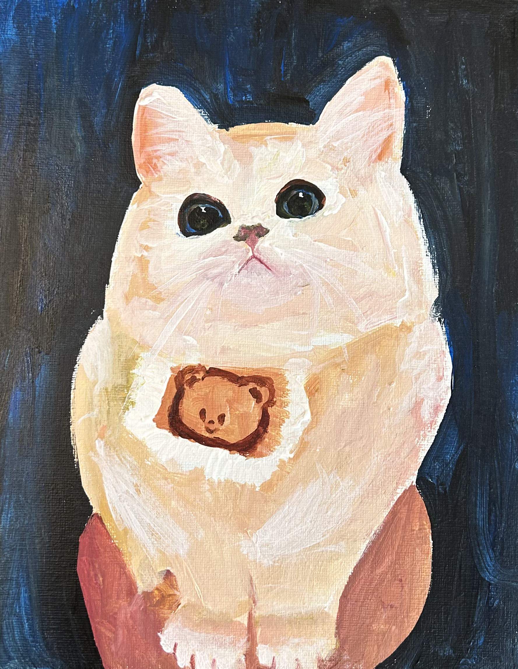 Cat #4