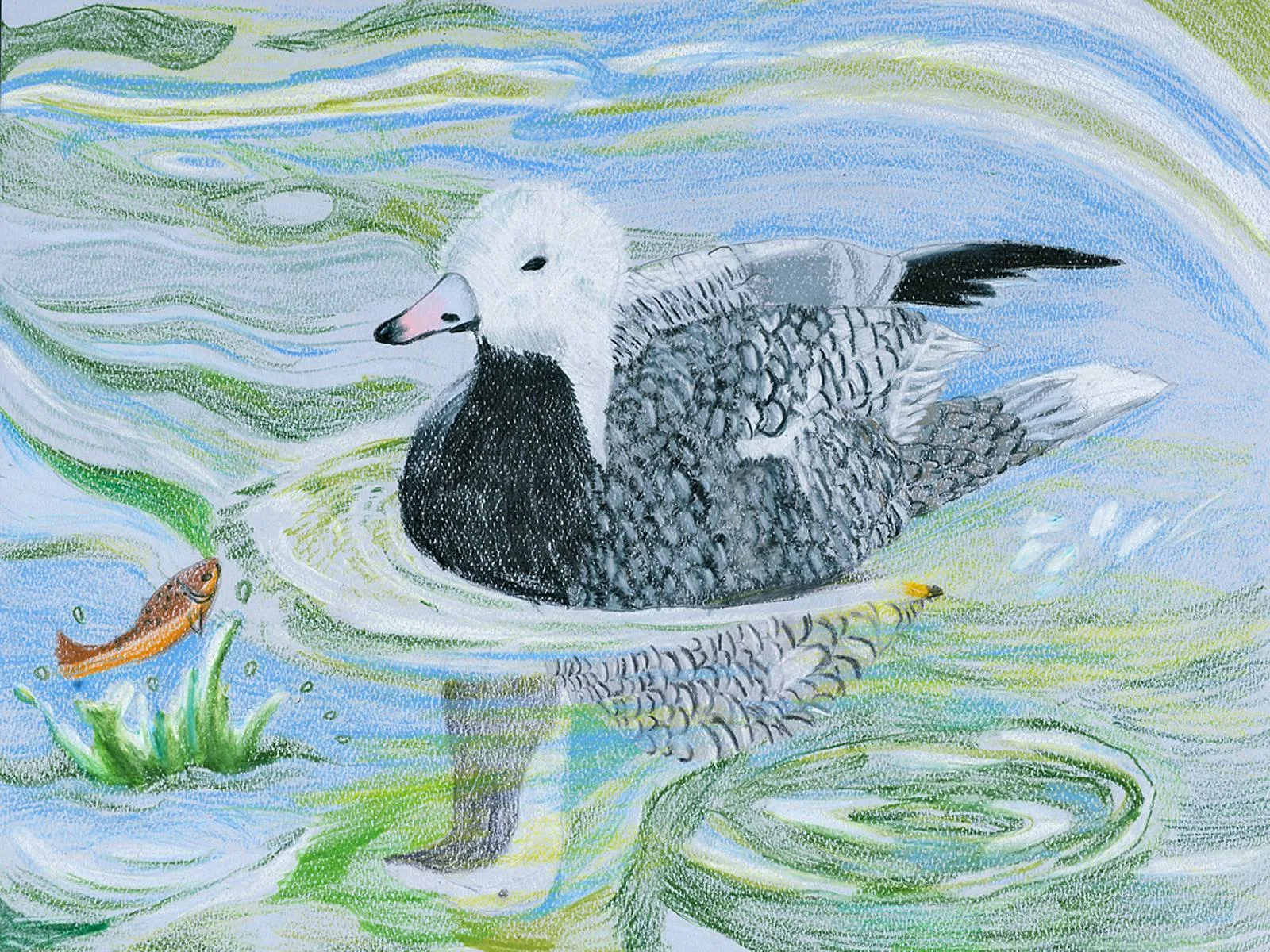 Colored pencil drawing of a duck on rippling water with a leaping fish, 2015 Junior Duck Stamp winner
