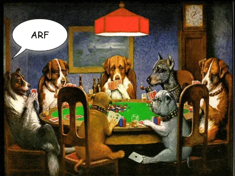 Poker Night @ NYU